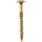 DOMAX Konstrukční vrut CT s talířovou hlavou TORX T25 5 x 45 mm pozinkovaný 200 ks – Hledejceny.cz