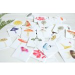 Albi Vědomostní pexeso Houby – Zboží Živě