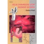 Atlas chirurgické léčby mozkové ischemie – Hledejceny.cz