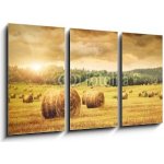 Obraz 3D třídílný - 90 x 50 cm - Field of freshly bales of hay with beautiful sunset Pole čerstvých balíků sena s krásným západem slunce – Sleviste.cz