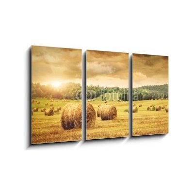 Obraz 3D třídílný - 90 x 50 cm - Field of freshly bales of hay with beautiful sunset Pole čerstvých balíků sena s krásným západem slunce