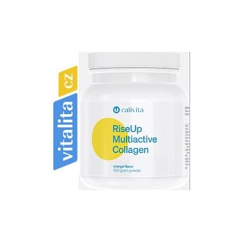 RiseUp Multiactive Collagen pro ochranu kloubů 500 g
