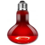 Repti Zoo Infračervená žárovka 100 W – Zboží Dáma