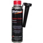 Divinol System Cleaner Benzin 250 ml – Sleviste.cz