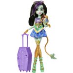Mattel Monster High Monsterka Jinafire Long – Hledejceny.cz