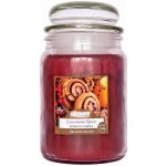 Airpure Cinnamon Spice 510 g – Zboží Mobilmania