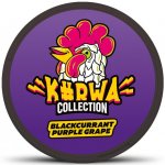 Kurwa Collection nikotinové sáčky blackcurrant purple grape 18 mg 20 sáčků – Zboží Dáma