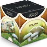 Albi Vědomostní pexeso Houby – Zboží Živě