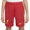 Nike LFC Y NK DF SHORT STAD HM 2024/25