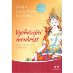 Vycházející moudrost - Lama Tsultrim Allione – Zbozi.Blesk.cz