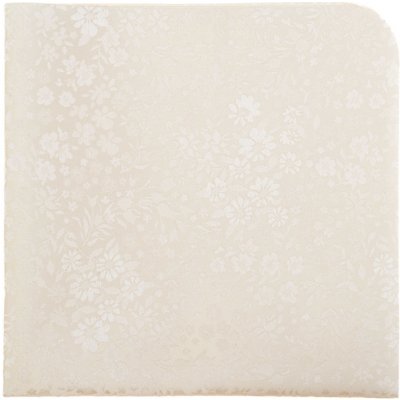 Avantgard Kapesníček do saka Lux 583-22434 smetanová – Zbozi.Blesk.cz