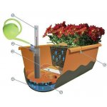 Plastia Samozavlažovací truhlík MARETA 17,5 x 60 x 19,5 cm slonová kost sv. + vínový – Zboží Dáma