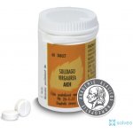 AKH Solidago Virgaurea 60 tablet – Hledejceny.cz