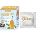 Ovonex Kombucha 10 x 400 ml – Zboží Mobilmania