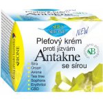 Bione Cosemtics BIO Antakne pleťový krém se sírou 51 ml – Sleviste.cz