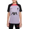 Dětské tričko Nike triko LFC Y NK DF STRK SS TOP KKS AW dn2951545