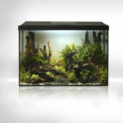 Aquael Leddy Day & Night 60 XL akvarijní set 72 l – Sleviste.cz