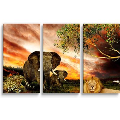 Sablio Obraz - 3-dílný Zvířata ze Sahary - 120x80 cm – Hledejceny.cz