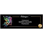 Artmagico Profesionální akvarelové barvy Pearlescent 24 pcs – Hledejceny.cz