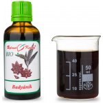 Bylinné kapky Badyán plod tinktura 50 ml – Hledejceny.cz