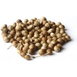 Profikoření Koriandr celý 100 g – Sleviste.cz
