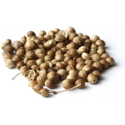 Profikoření Koriandr celý 100 g – Sleviste.cz