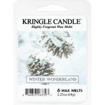 Kringle Candle Winter Wonderland Vonný Vosk 64 g – Zboží Dáma