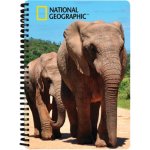 Alltoys Sešit 3D A5 Sloni – Zbozi.Blesk.cz