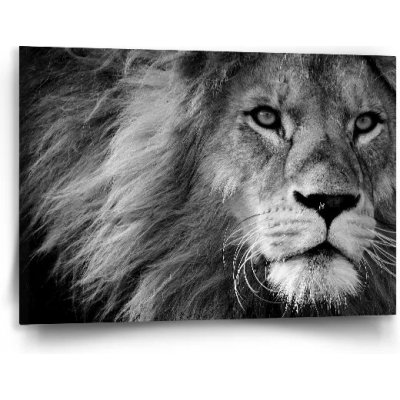 Sablio Obraz Lev 2 - 90x60 cm – Hledejceny.cz