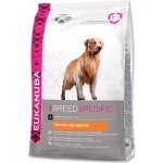 Eukanuba Golden Retriever 12 kg – Zboží Mobilmania