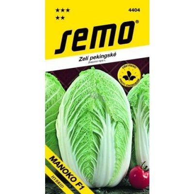 Semo Zelí pekingské Manoko F1 hybrid 40 semen – Zboží Mobilmania