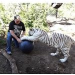 Boomer Ball 25 cm – Sleviste.cz