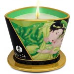 Shunga Massage Candle Green Tea 170 ml – Zboží Mobilmania