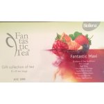 Biogena Fantastic Tea Maxi 8 x 8 64 ks – Hledejceny.cz