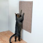 Trixie Škrábací deska XXL 50 x 70 cm – Hledejceny.cz