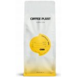 Coffee Plant Čokoládová bomba Espresso zrnková 1 kg – Hledejceny.cz