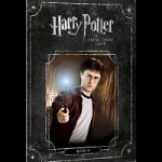 Harry Potter a Princ dvojí krve DVD – Zboží Dáma