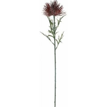 Edelman Květina Protea, červená, 71 cm|Ego Dekor