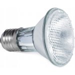 Repti Zoo Halogen Basking Spot 50 W – HobbyKompas.cz