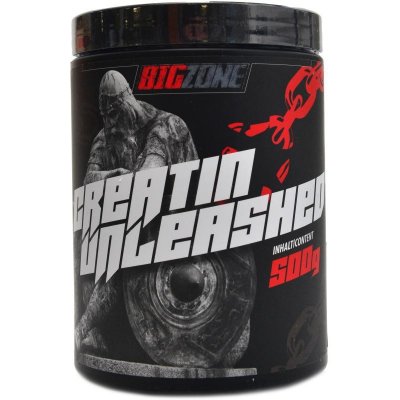 Big Zone Creatin 500 g – Hledejceny.cz