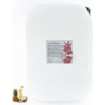 PM Aqualog esence do parních kabin pina colada 868-010/D 10 l – Hledejceny.cz