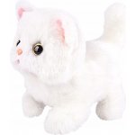 ISO koťátko – Sleviste.cz