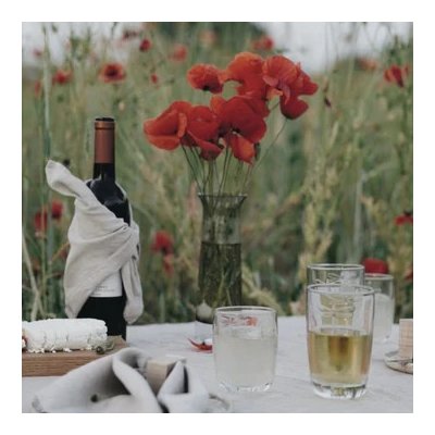 La Rochere Sklenice LIBELLULES čirá 280 ml – Hledejceny.cz