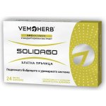 Vemoherb Solidago Zlatobýl obecný 24 kapslí – Hledejceny.cz