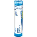 AMBRA GRISEA POR 9CH GRA 1X4G – Hledejceny.cz