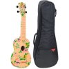 Ukulele Pasadena WU-21F3 SET