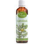 Serafin tinktura z bylin Kotvičník 50 ml – Hledejceny.cz