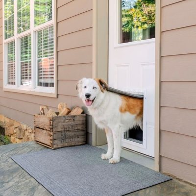 PetSafe Extreme Weather Door L šedá 34,1 x 50,8 x 8,3 cm – Zboží Mobilmania