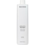 Selective Professional Rebuilding Treatment N.2 Rebuild Treatment 1000 ml – Hledejceny.cz