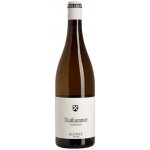 Seckinger Maikammer Chardonnay Suché bílé 2023 12,5% 0,75 l (holá láhev) – Hledejceny.cz